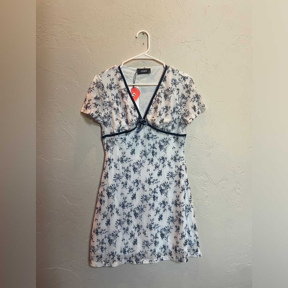 Cider Light Blue Floral Dress